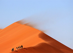 永久授权版的短信验证码轰炸平台免费