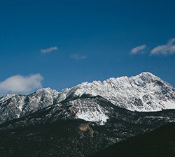 电话测压在线平台